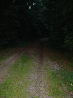 Track 2 Jensen Trail, Gainesville, GA Image #6897346