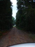 Track 2 Jensen Trail, Gainesville, GA Image #6897345