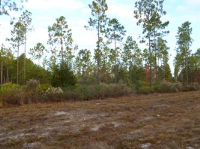 photo for Land  Lot 86 Third L