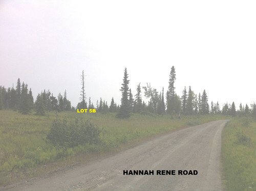 31150 Hannah Rene Road, Anchor Point, AK Main Image