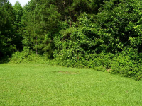 3872 Woodington Place, Lawrenceville, GA Image #7752768