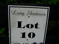 139 Long Shadows Drive, Alpharetta, GA Image #8671289
