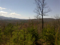16 Trammell Mountain, Blue Ridge, GA Image #8714875