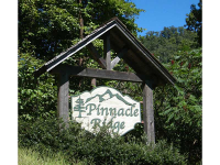12 Pinnacle Ridge, Clayton, GA Image #8793015