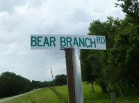 1644 Bear Branch Roa, Jesup, GA Image #9514129