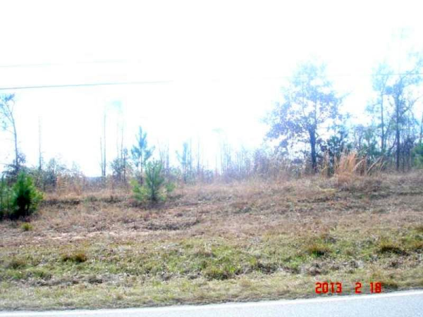 Highway 96, Fort Valley, GA Main Image
