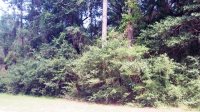 photo for Lot 14 Spartina Way