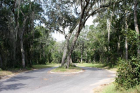 photo for Lot 21 Spartina Way