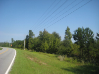 photo for 7.77 Acres Islands Highway
