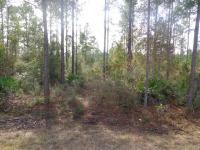 Lot 18 Buster Phillips Road, Ludowici, GA Image #10067185