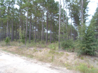 Lot 22 Groover Tract, Ludowici, GA Image #10067280