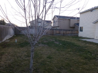 2706 Stoll Court, Caldwell, ID Image #5962525