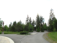 Lot 22 Crossing at Willow Bay, Priest River, ID Image #9144744