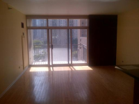 21 W Chestnut St Apt 704, Chicago, Illinois  Image #4976738