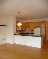 435 W Erie St # 110, Chicago, Illinois  Image #4976792