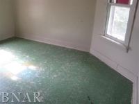 201 S Jackson St, Flanagan, Illinois  Image #4980297