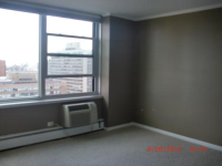 336 W Wellington Ave Apt 2001, Chicago, Illinois  Image #5515393