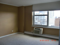 336 W Wellington Ave Apt 2001, Chicago, Illinois  Image #5515394