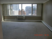 336 W Wellington Ave Apt 2001, Chicago, Illinois  Image #5515390