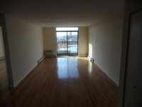 3900 N Pine Grove Ave Apt 707, Chicago, Illinois  Image #5526727