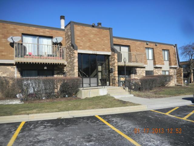 729 Limerick Ln Apt 1b, Schaumburg, Illinois  Main Image