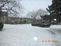 729 Limerick Ln Apt 1b, Schaumburg, Illinois  Image #5736825