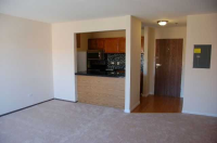 3265 Kirchoff Rd Apt 320, Rolling Meadows, Illinois  Image #5741851