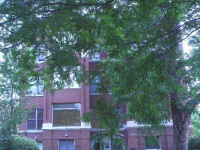 1026 East 46th Street Apartment 4e, Chicago, IL Image #6038013
