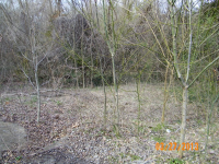 21 Sullivan Ln, Mounds, Illinois  Image #6323804