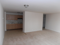 4250 N Marine Dr Apt 631, Chicago, Illinois  Image #6707480