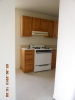 2901 S Michigan Ave Apt 1505, Chicago, Illinois  Image #6709237