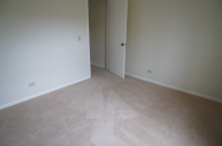 1585 Raymond Dr Apt 103, Naperville, Illinois  Image #6712269