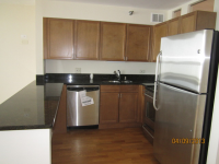 474 N Lake Shore Dr Apt 5306, Chicago, Illinois  Image #6833921