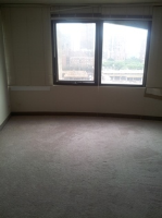 800 S Wells St Apt 1219, Chicago, Illinois  Image #6927630