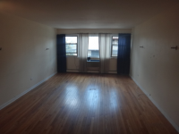 222 Washington Blvd Apt 306, Oak Park, Illinois  Image #6952416