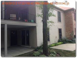 1708 Fayette Walk C, Hoffman Estates, IL Main Image