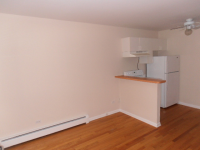 4258 N Greenview Ave Apt 2b, Chicago, Illinois  Image #7475301