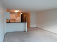 2 E. Erie Unit 1604, Chicago, IL Image #10035232