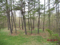 21401 Cabin Hill Rd, Borden, Indiana Image #6043076