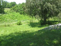 7476 S Pleasant St, Scotland, IN Image #9808383