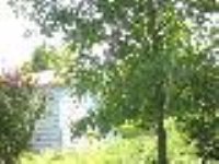 7788 Stiles Road, New Haven, KY Image #3146059