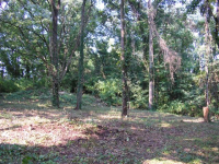 Lot 15 Tall Timber Avenue, Bowling Green, KY Image #10075780