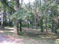 Lot 15 Tall Timber Avenue, Bowling Green, KY Image #10075776