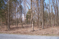 photo for Lot 191 Frontier Lane