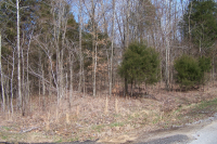 photo for Lot 202 Frontier Lane