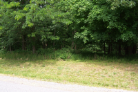 photo for Lot 123 Woodfield Estates Dr.