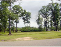 photo for Lot 13 Ivy Springs Dr