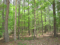 Red Cut Hill Rd Tract 4, Leesville, LA Image #9347080