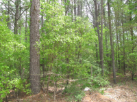 Red Cut Hill Rd Tract 4, Leesville, LA Image #9347078