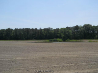 photo for 31216 Bruceville Rd